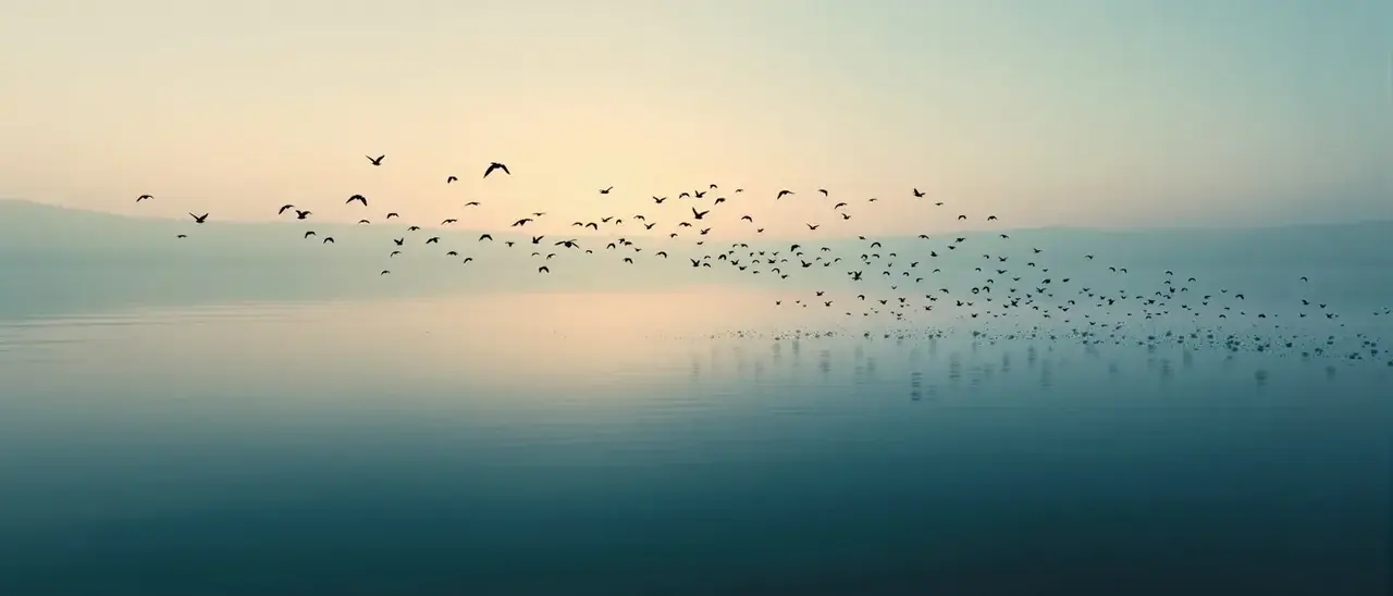飘花影院应用下载背景